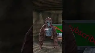 PBBV DID WHAT?? | Gorilla tag animation #gorillatag #ghosthunting