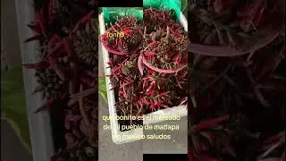 #desde matlapa slp