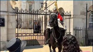 King&rsquo;s Guard Horse Keeps Coming Out