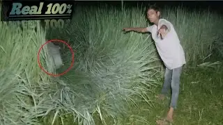 Bhoot এর কলা বাগান ||  kola bagane Bhoot || #aghosthkd! A Ghost HKD