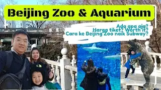 What's happening at Beijing Zoo and Aquarium? Let's watch the video!