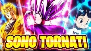 OGNI COMBO É UNA KILL 💀 GOHAN BEAST 14* CON DOPPIO SUPPORTO! Dragon Ball Legends