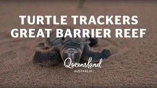 Great Barrier Reef Warriors: Turtle Trackers on the Southern Great Barrier Reef