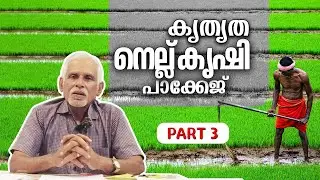 കൃത്യത നെൽകൃഷി  (Precision rice farming) part 3