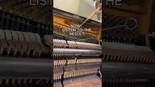 🥴🥴 #pianobuilding #neoclassical #pianistlife #musiclovers #instrumentmaking