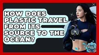 How Does Plastic Travel From Its Source To The Ocean? - The Marine Life Explorer