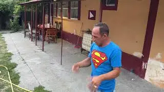 CIRCU DE PE LUME ION O SCĂPAT PORCU AFARA
