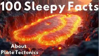 The Most Relaxing Facts About Plate Tectonics to Fall Asleep To