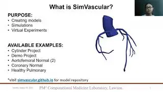 1.0 PM3 SimVascular Workshop 2020. Title: Coronary Model.