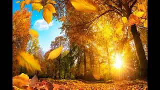 🔴 Relaxing Music 24/7, Sleep Music,Marcus Soto Kolby Mullins Jazlyn Boone Raelynn Mccann