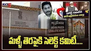 AP High Court on Mandali Issue | AP Decentralisation of Capital Bill and APCRDA Bill | TV5 News