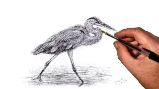 Heron Scribble Art Drawing