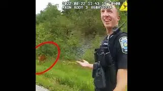Zombie Deer Massacre : Chronic Wasting Disease, Cold Blooded Murder, Anarchism, TRUE CRIME