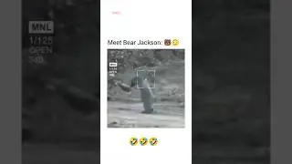 Mr bear jackson🤣🤣😎#reels #bear #ytshorts