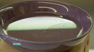 Duft&ouml;le machen munter