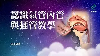 認識氣管內管與插管教學｜老妖精 (護聯網)