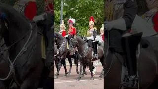 Colonel&rsquo;s Review #london #buckinghampalace #kingsguard #history #travel #london#ytshorts #viralvideo