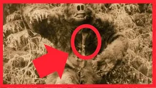 🐻👩🏾Rarest Native American Photos📸🎞️