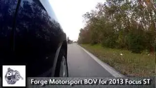 CFM Performance 2013 Focus ST with Forge Motorsport BOV / Dump Valve