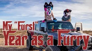 My first year as a furry; #pdfc2025 #AWU2024 #AFC2024 #AZFC2024 #pdfc2024 #furry #fursuiting