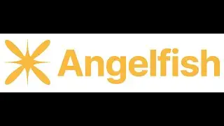 Angelfish film and video 2025 promotional video