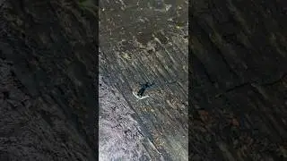 This Tennessee River Is a Fly Fishing Paradise (South Holston River)