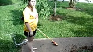 Hand Broom