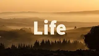 Life by Charlotte Bront&euml;