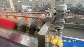 complete frozen french fries making line +86132 132 02305