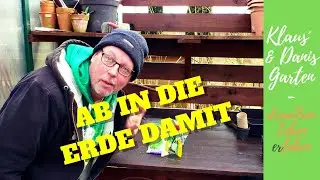 Aussaat, Anzucht, Auspflanzen...jetzt geht's im Garten los mit Blumenkohl, Brokkoli, Salat, Möhren..