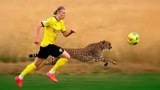 Erling Haaland - 30+ Crazy Fast Runs/Sprints Will Make You Say WOW