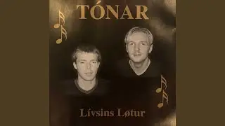 Hin T&uacute; Veist