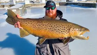 🔴 LIVE - Ice Report - Okuma Giveaway | Lake Michigan Fishing Report 12/20/25 📱 📱