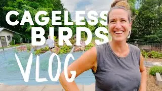 In the Garden with Melissa Helser | Cageless Birds VLOG - July 1st, 2021