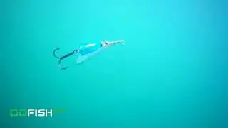 GoFish Cam underwater Vibrax Spinner in action.