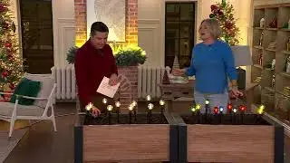 Bethlehem Lights 20' Globe Pathway Lights with Stakes on QVC