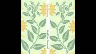 Josh Woodward - Symmetry and the Pocket of Angels (Instrumental)