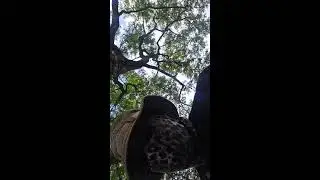 BI Phakathi live