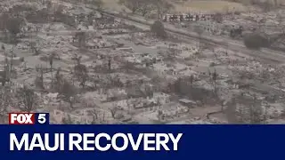 How you can help those impacted by the Maui fires | FOX 5 News
