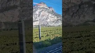 Thomas Grundmann - homecoming - Piano ( Italien Heimreise ) #piano #pianomusic #viral #fypシ #peace