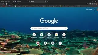 How to make your own website for kids