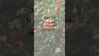 DREAM | #shorts #dreambig  #hopeinbloom #gentlehealing #poetrycommun&iacute;ty #vibezwithwordz
