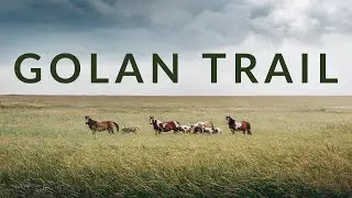 Hiking 4 days alone on the Golan trail in israel