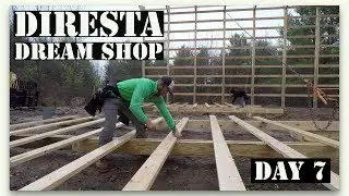 Day 7... Diresta Dream Shop