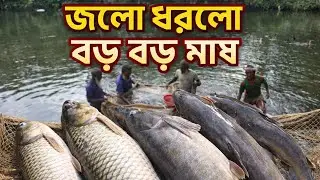 পুকুরে জাল টানার দৃষ্য