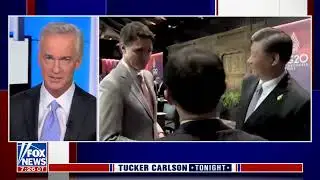 Tucker on Trudeau being confronted by Xi Jinping at the G20