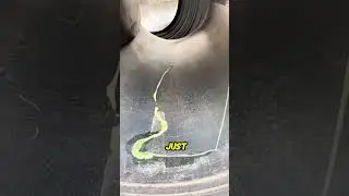 Steel Coil