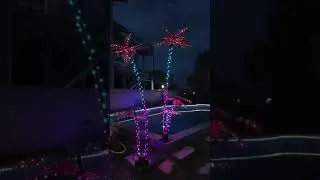 Beautiful tree outdoors🤩#neonlights #led #ledlights #roomdecor #tree #outdoors #shorts