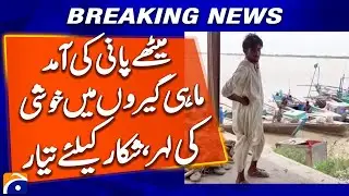 Arrival of fresh water, wave of joy among fishermen, ready for hunting | Breaking News