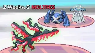 I Brought Galarian Moltres to a Tournament Two Weeks in a Row